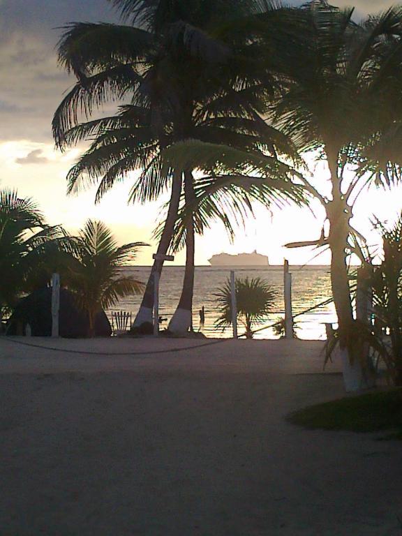 Las Cabanas Del Doctor Mahahual Extérieur photo